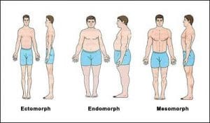 The Life Upgrades - Body Types