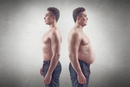 The Life Upgrades - Fat to Muscle