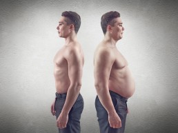The Life Upgrades - Fat to Muscle