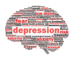 The Life Upgrades - Depression