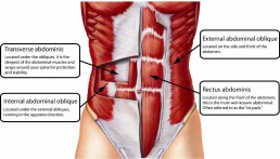 The Life Upgrades - Six Pack Abs