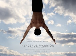The Life Upgrades - Peaceful Warrior