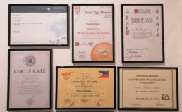 The Life Upgrades - Wellness - Diplomas